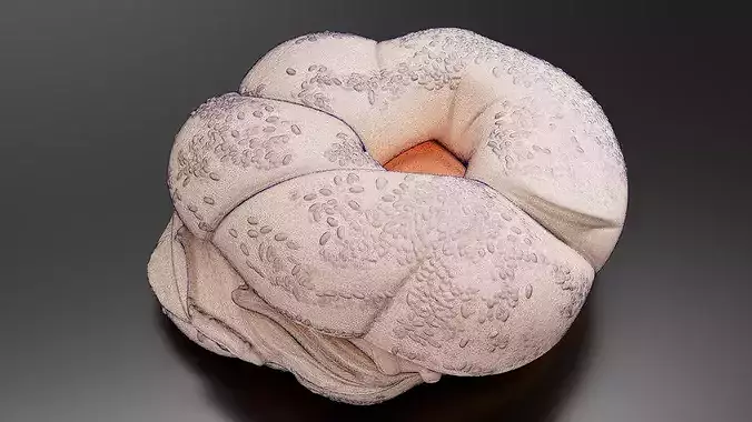 blue berrys pread bagel 3D print model 7