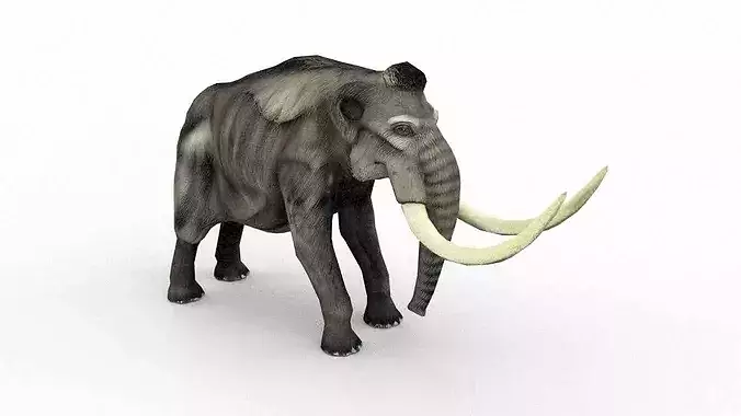 Woolly Mammoth
