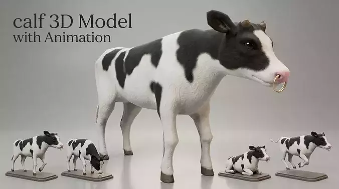 Animated  Calf 3D Model