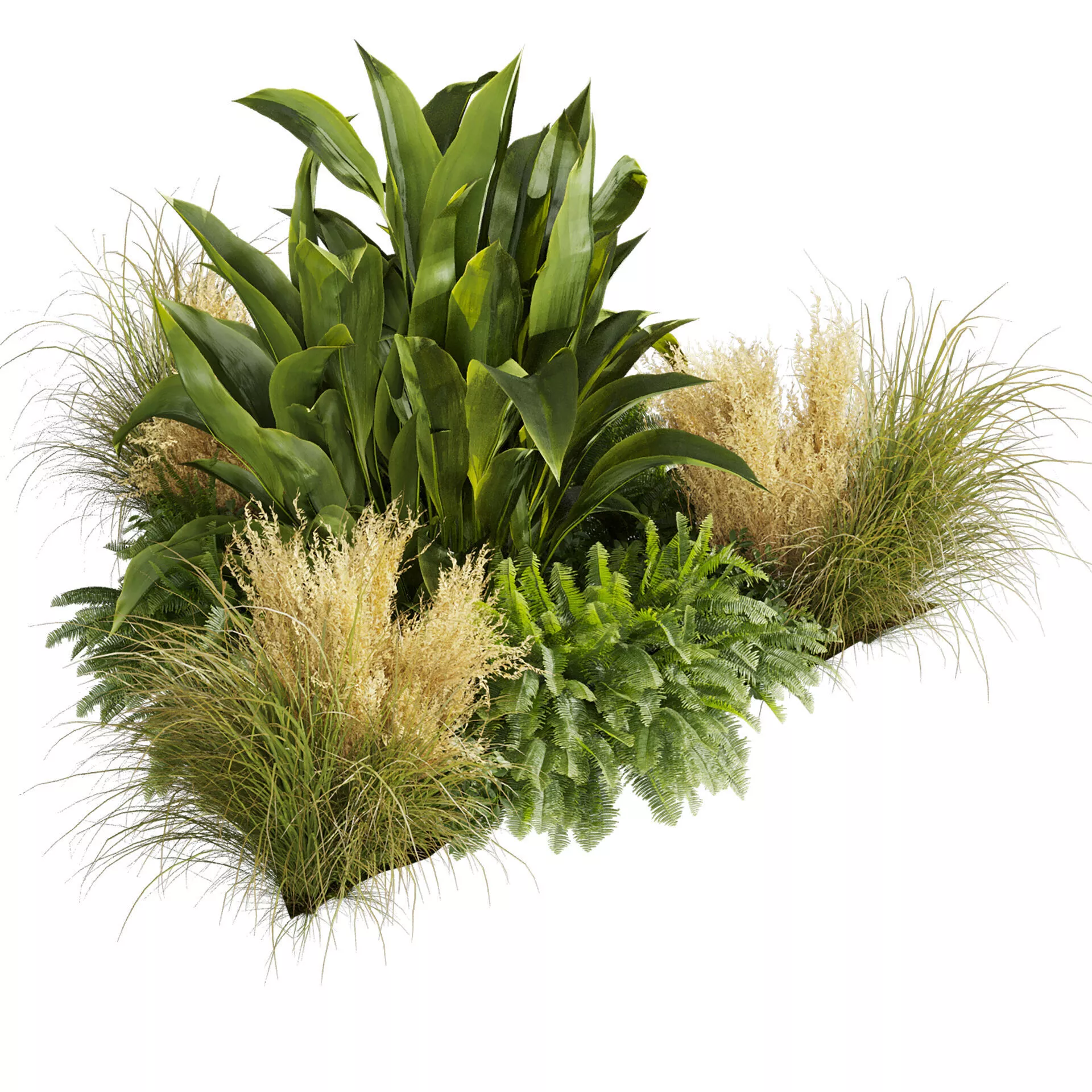 plant vol 900 - garden - pampas - banana 3D model
