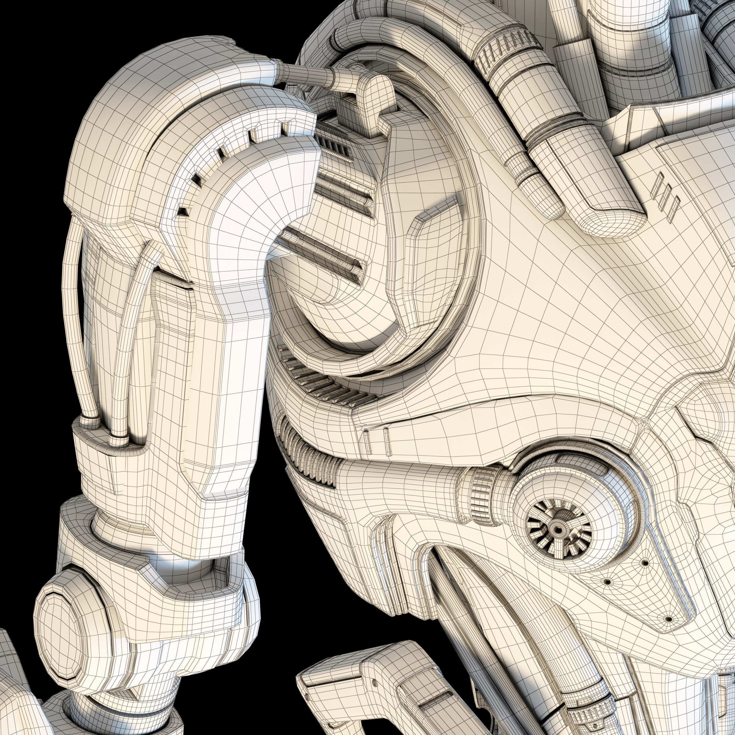 Samuel Hayden 3D model_38