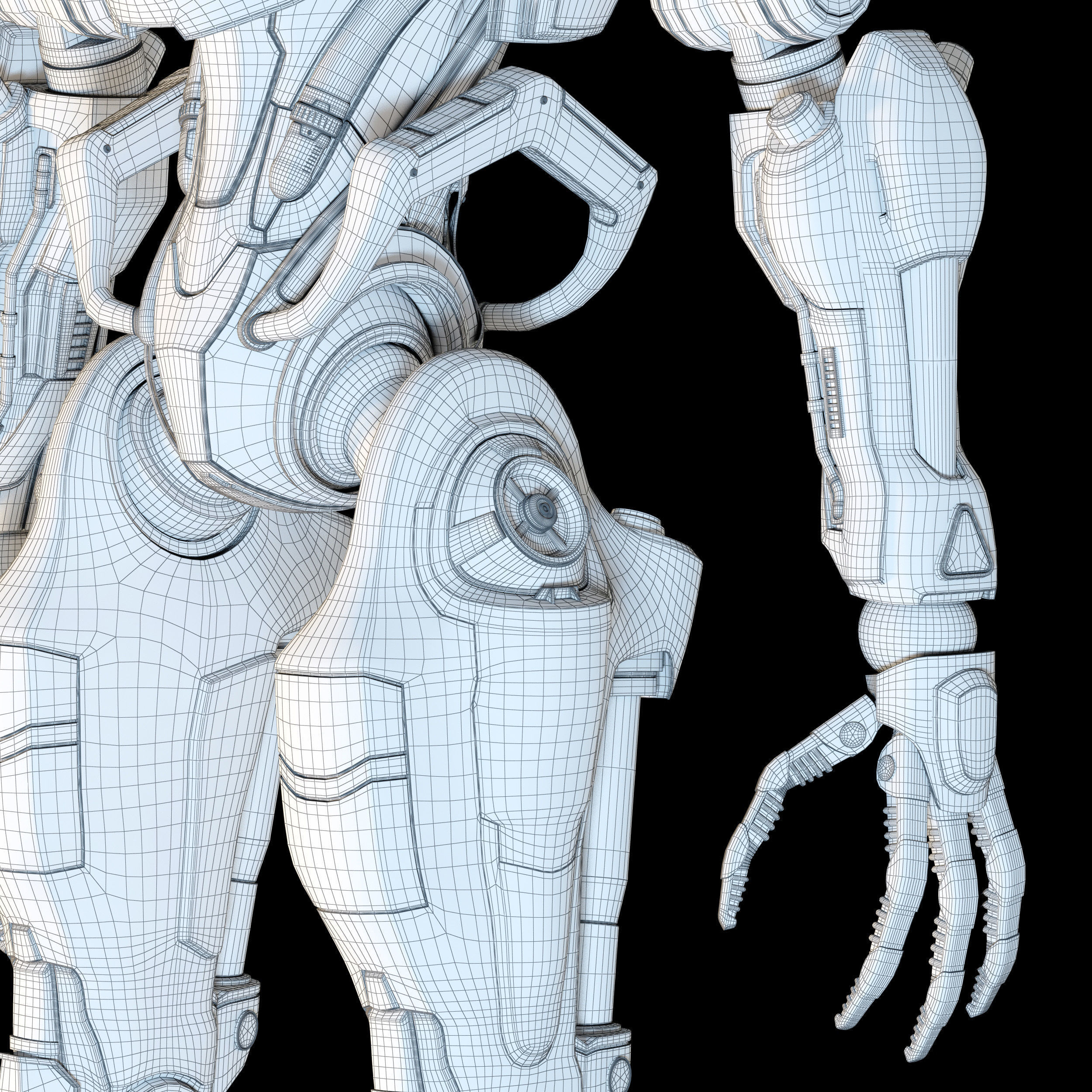 Samuel Hayden 3D model_36