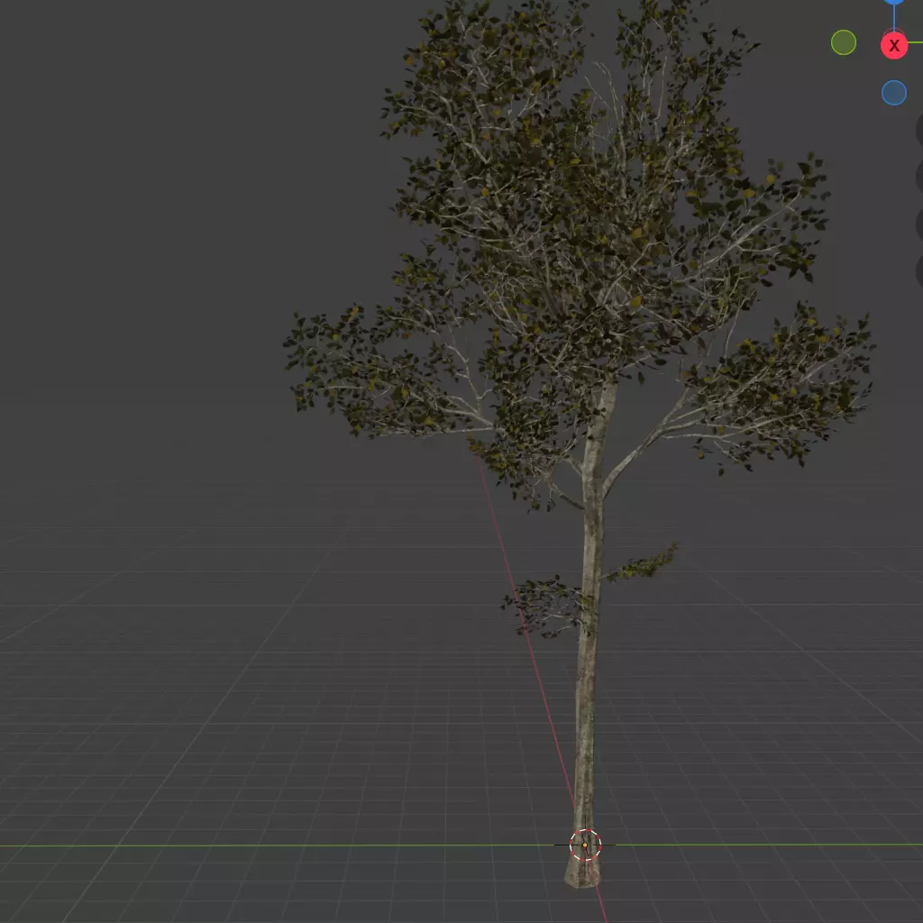 birch tree Low-poly 3D model