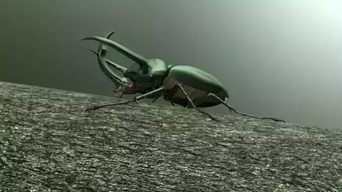 Chalcosoma Atlas beetle Textured no-rigging