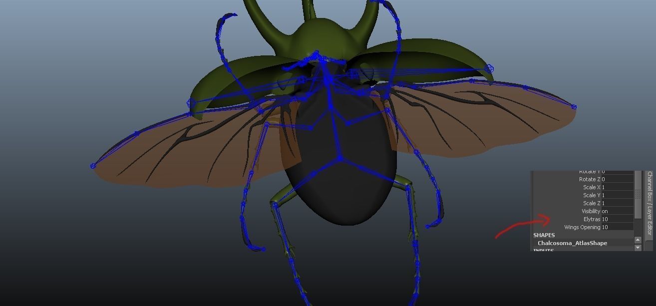 Chalcosoma Atlas Beetle with wings rigged not-textured 3D model_1
