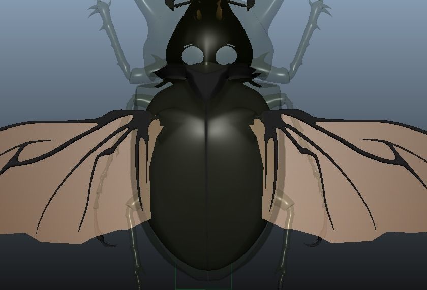 Chalcosoma Atlas Beetle with wings rigged not-textured 3D model_6