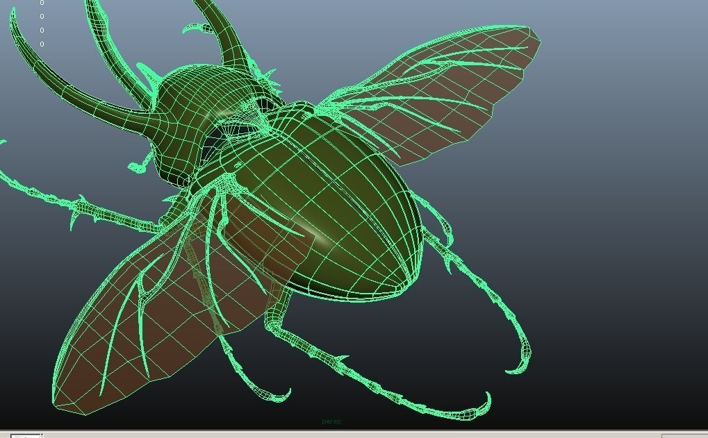 Chalcosoma Atlas Beetle with wings rigged not-textured 3D model_7