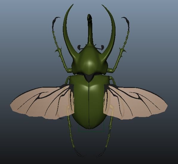 Chalcosoma Atlas Beetle with wings rigged not-textured 3D model_3