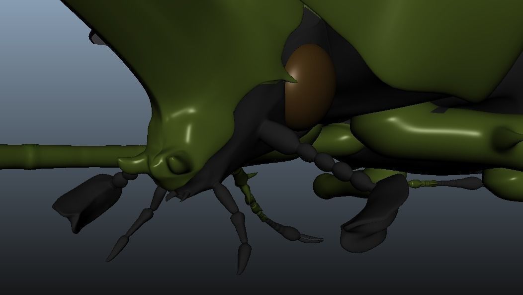 Chalcosoma Atlas Beetle with wings rigged not-textured 3D model_4