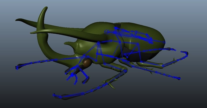 Chalcosoma Atlas Beetle with wings rigged not-textured