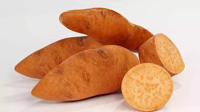 Realistic Sweet Potato 3D Model PBR Texture Food Asset Low-poly 3D model 7