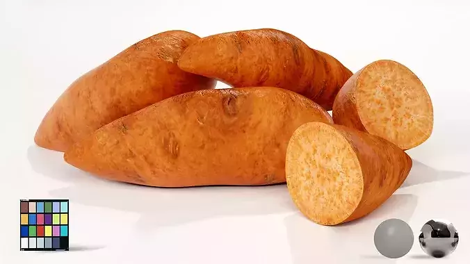 Realistic Sweet Potato 3D Model PBR Texture Food Asset Low-poly 3D model