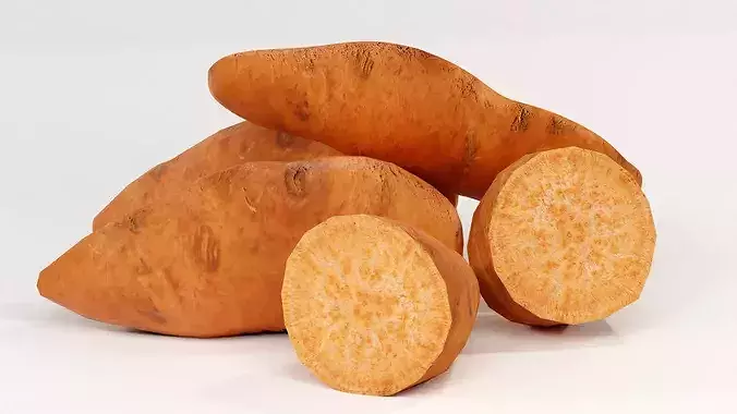 Realistic Sweet Potato 3D Model PBR Texture Food Asset Low-poly 3D model 4