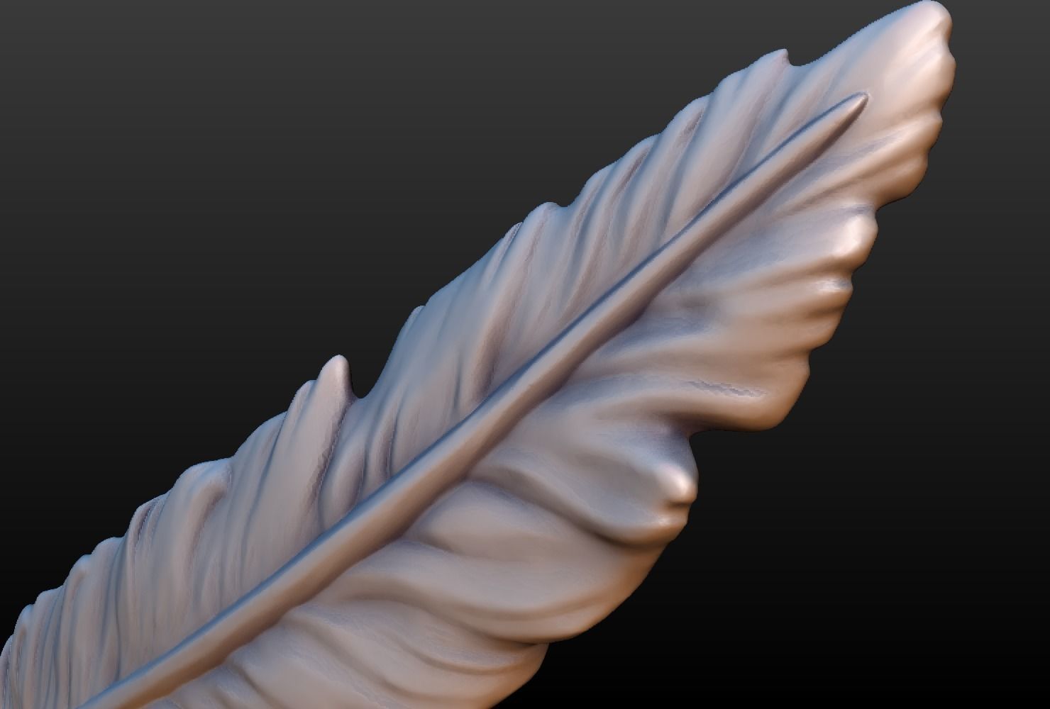 Feather A 3D print model_7