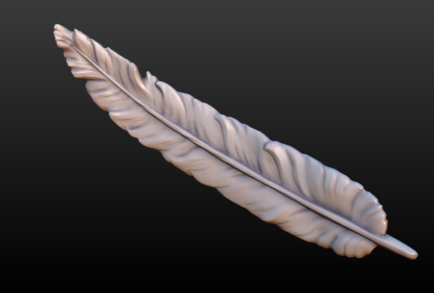 Feather A 3D print model_4