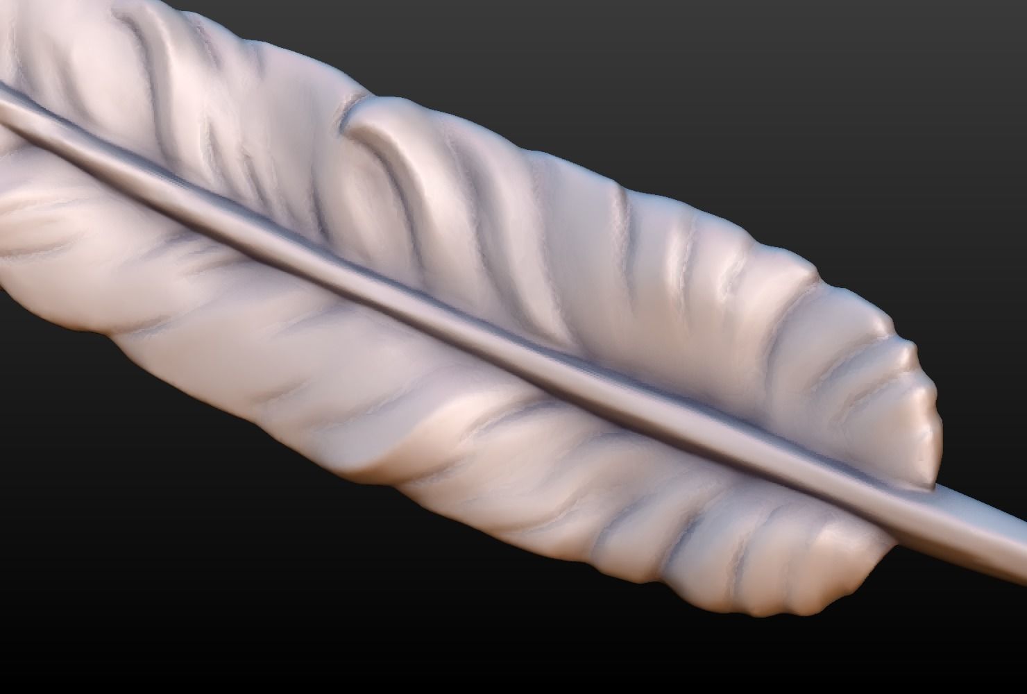 Feather A 3D print model_6