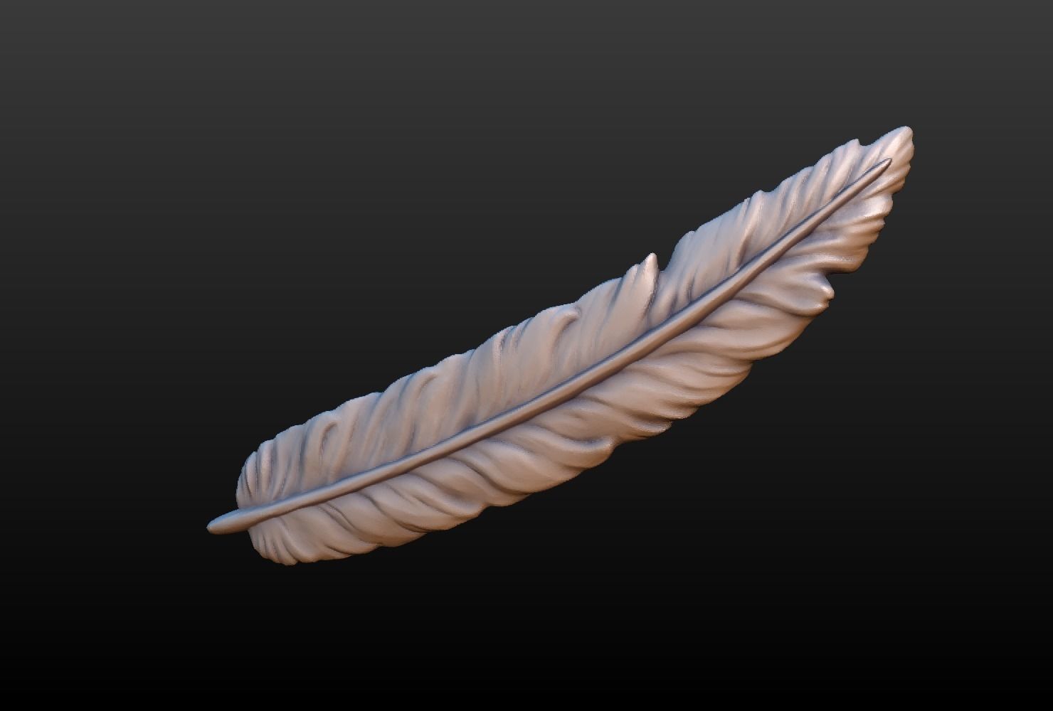 Feather A 3D print model_3