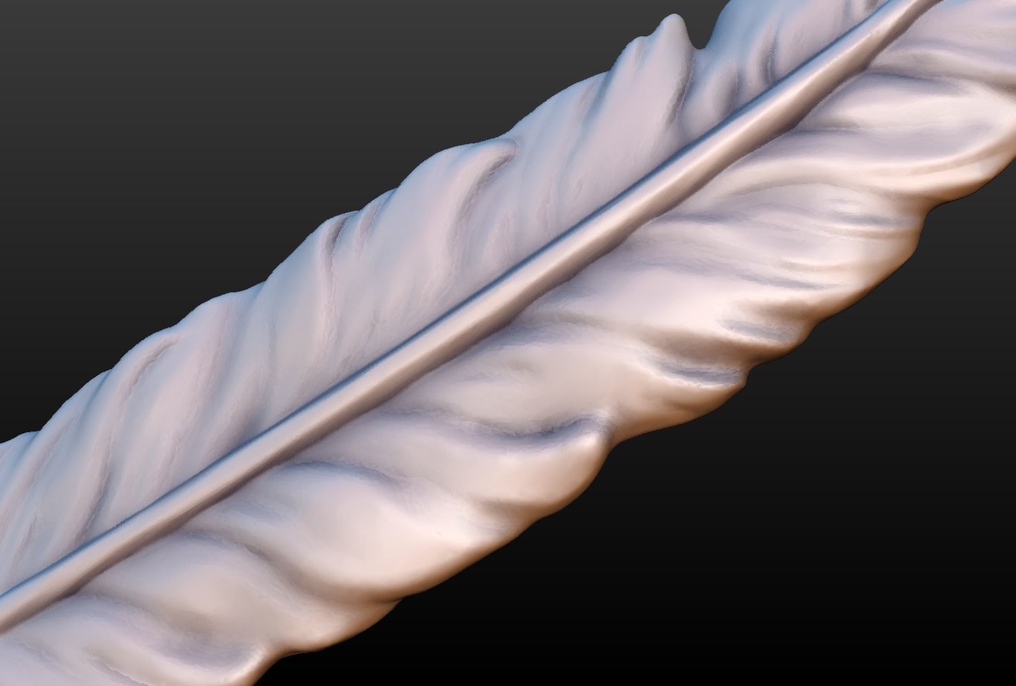 Feather A 3D print model_5