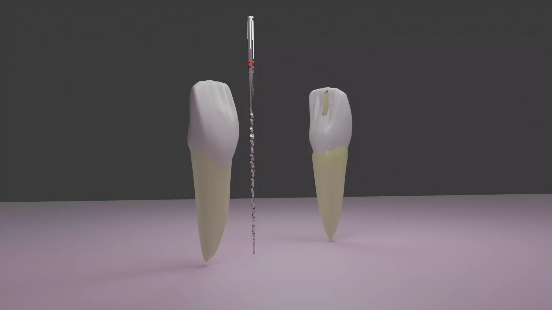 Central incisor and rotary endodontic file 3D model