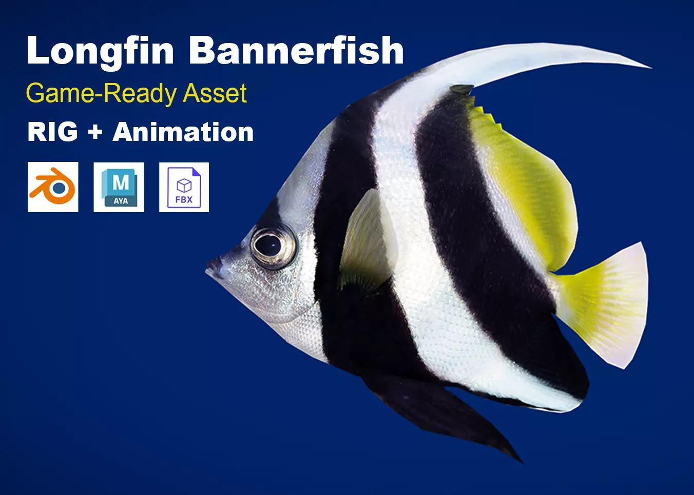 Realistic Longfin Bannerfish Animated Low-poly 3D model