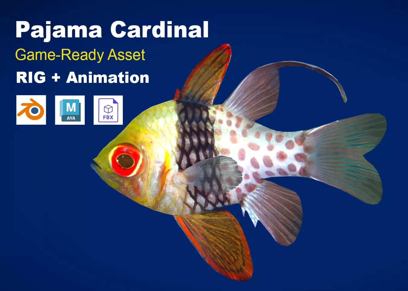 Realistic Pajama Cardinal Animated Low-poly 3D model