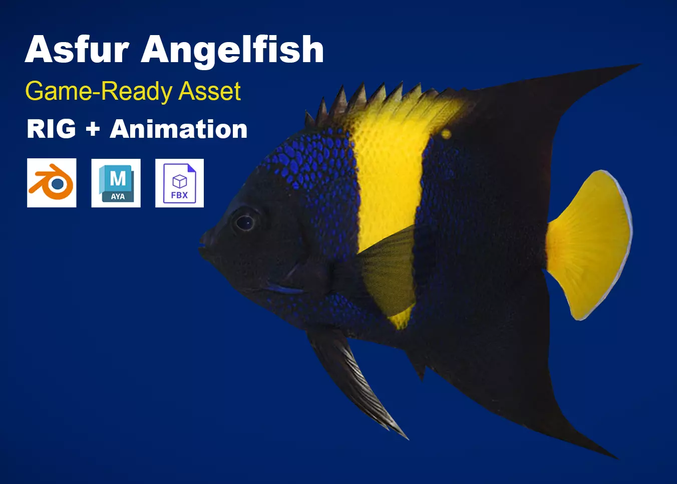 Realistic Asfur Angelfish Animated Low-poly 3D model