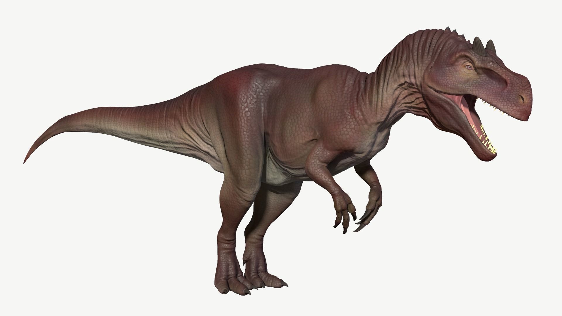 Allosaurus dinosaur Low-poly 3D model_1