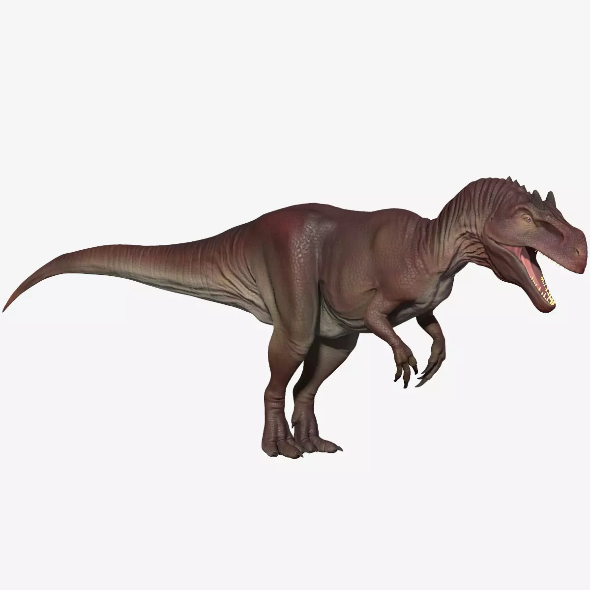 Allosaurus dinosaur Low-poly 3D model_0
