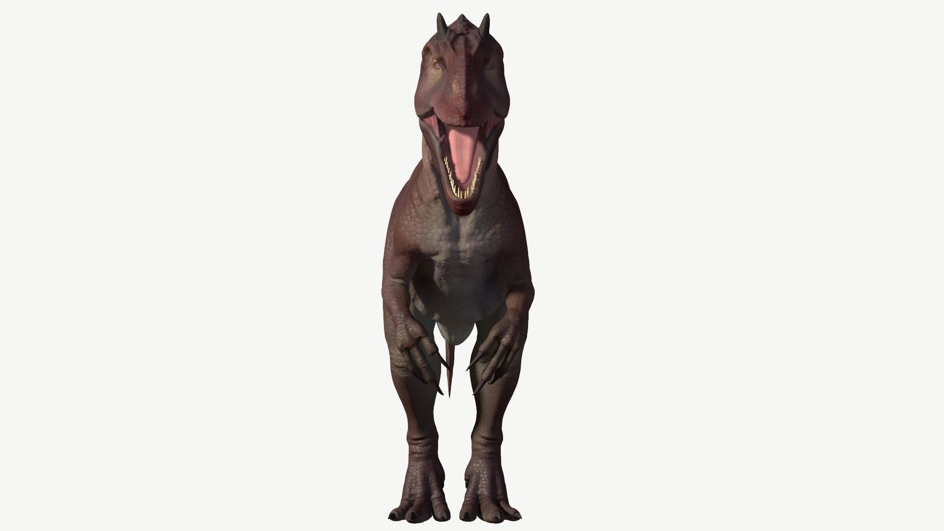 Allosaurus dinosaur Low-poly 3D model_9