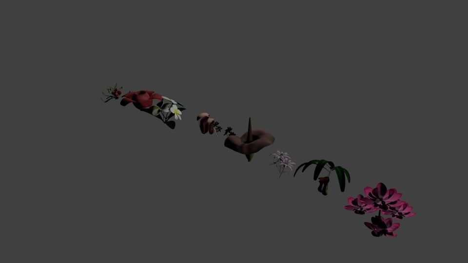 Tropical plants Free low-poly 3D model