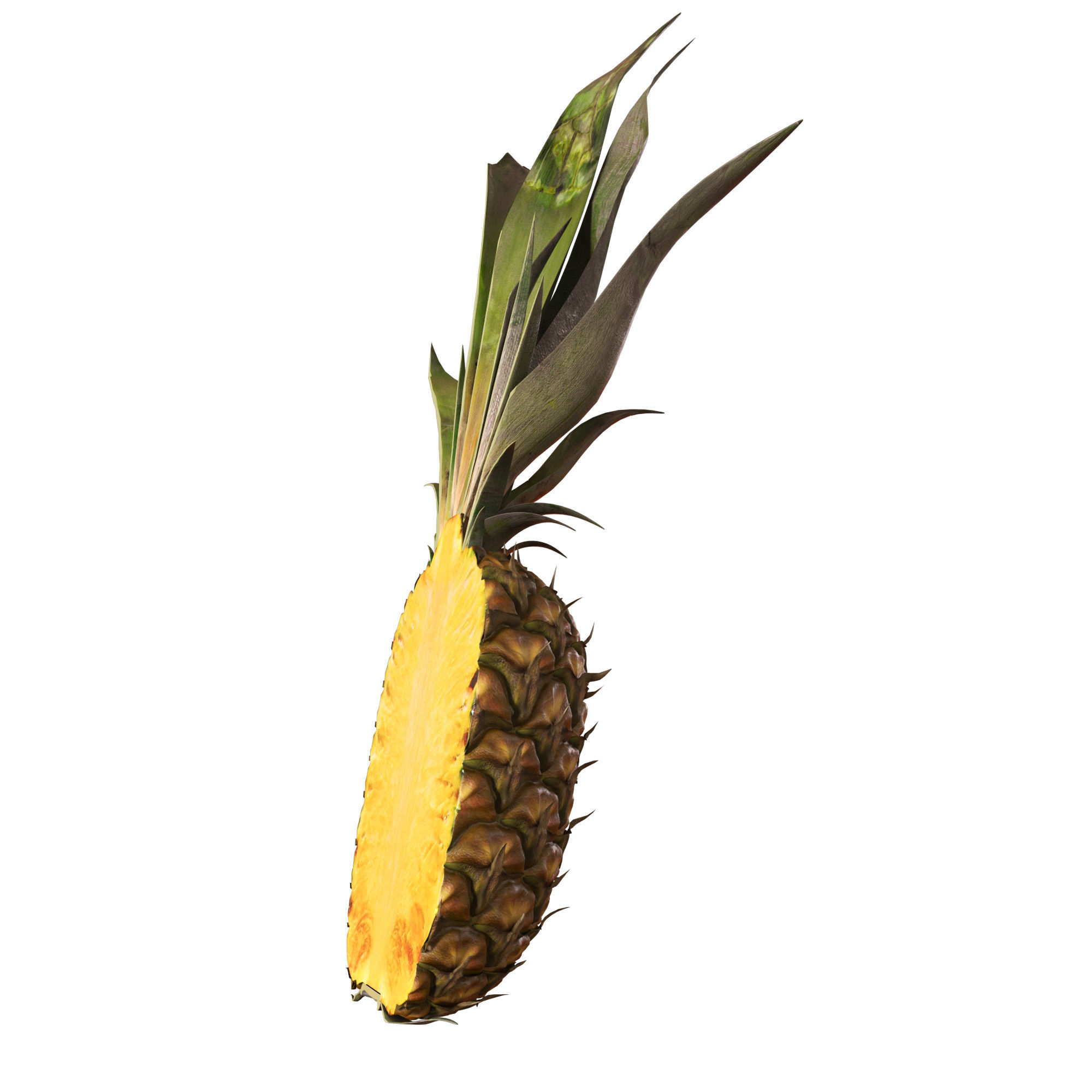 Pineapple 3D model_7