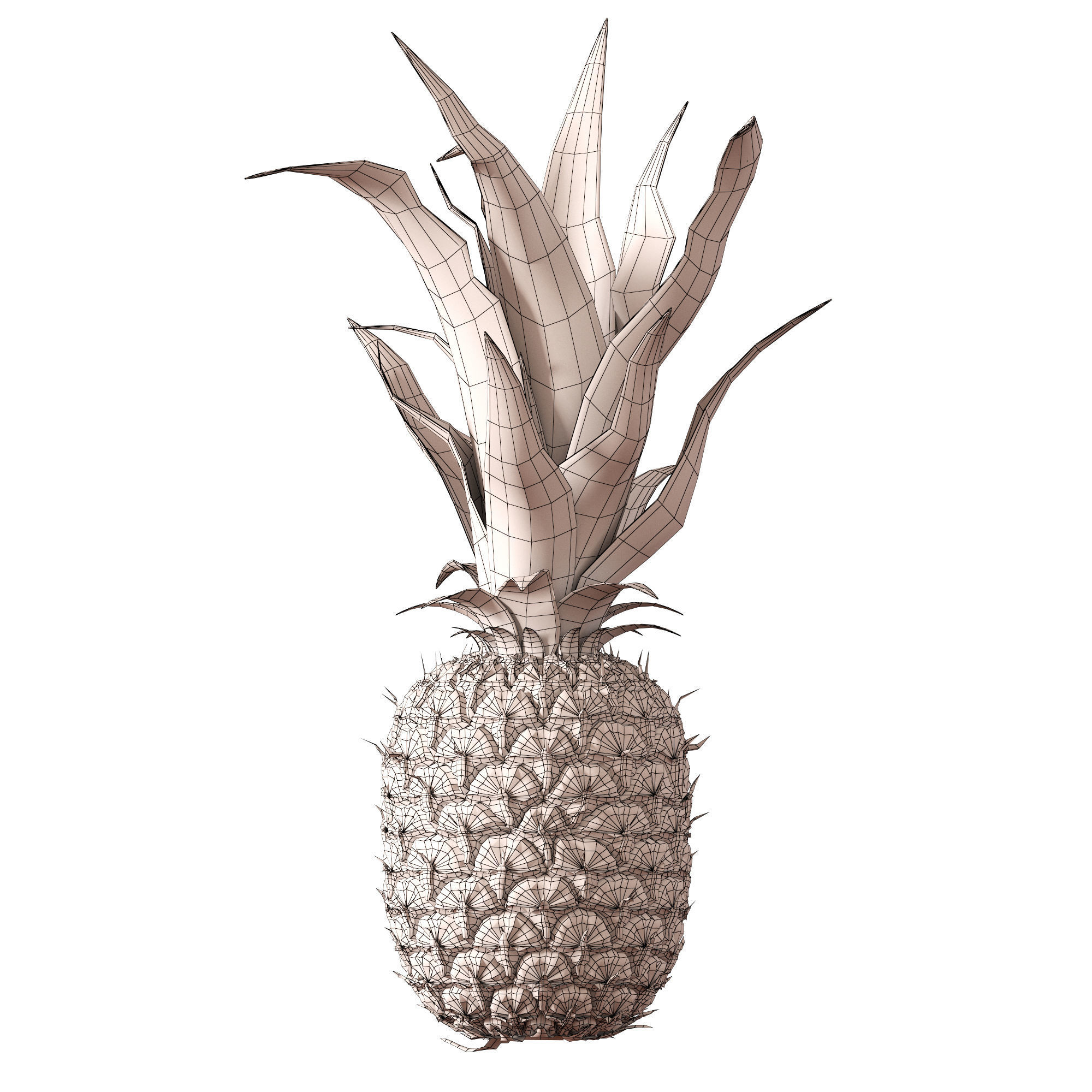 Pineapple 3D model_13