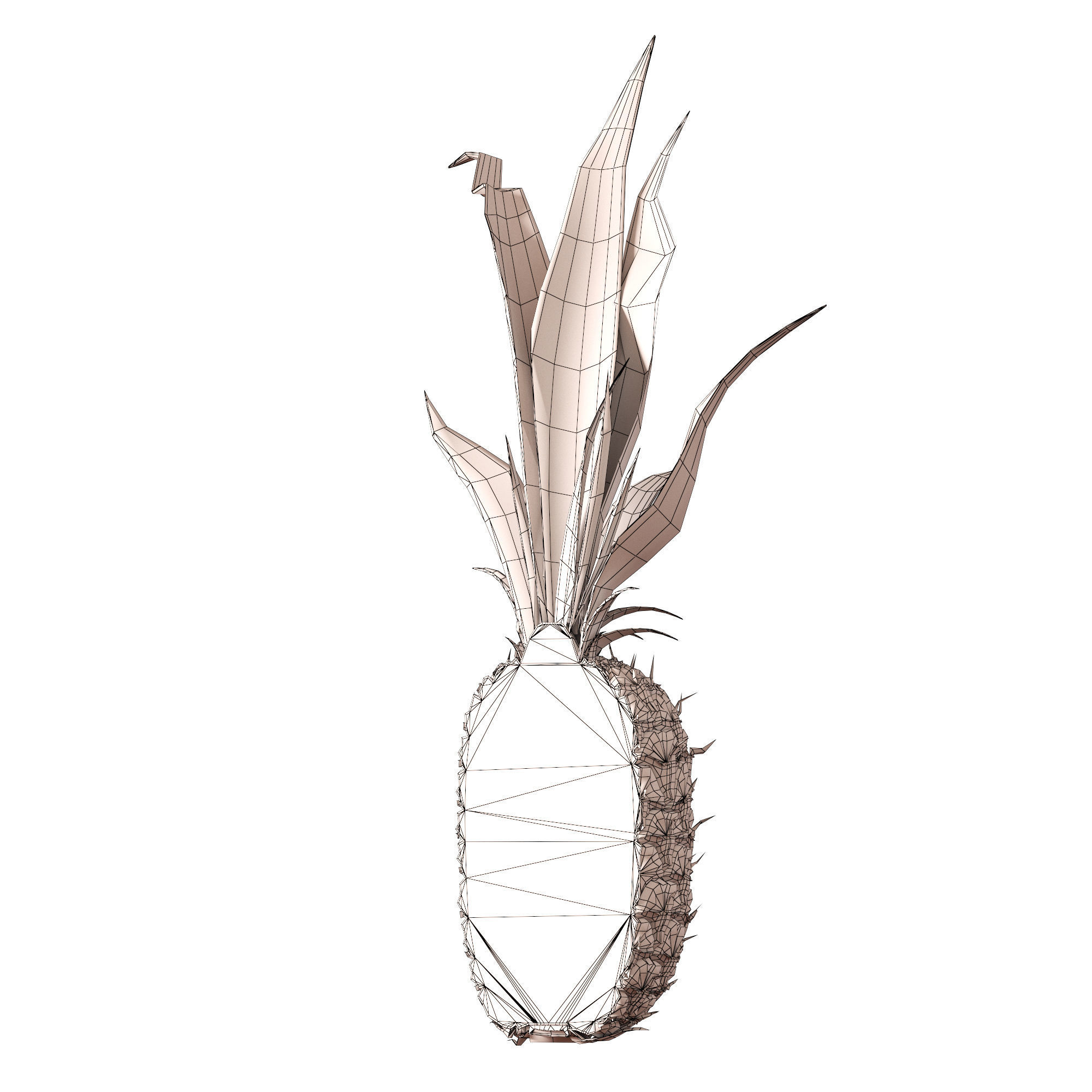 Pineapple 3D model_11