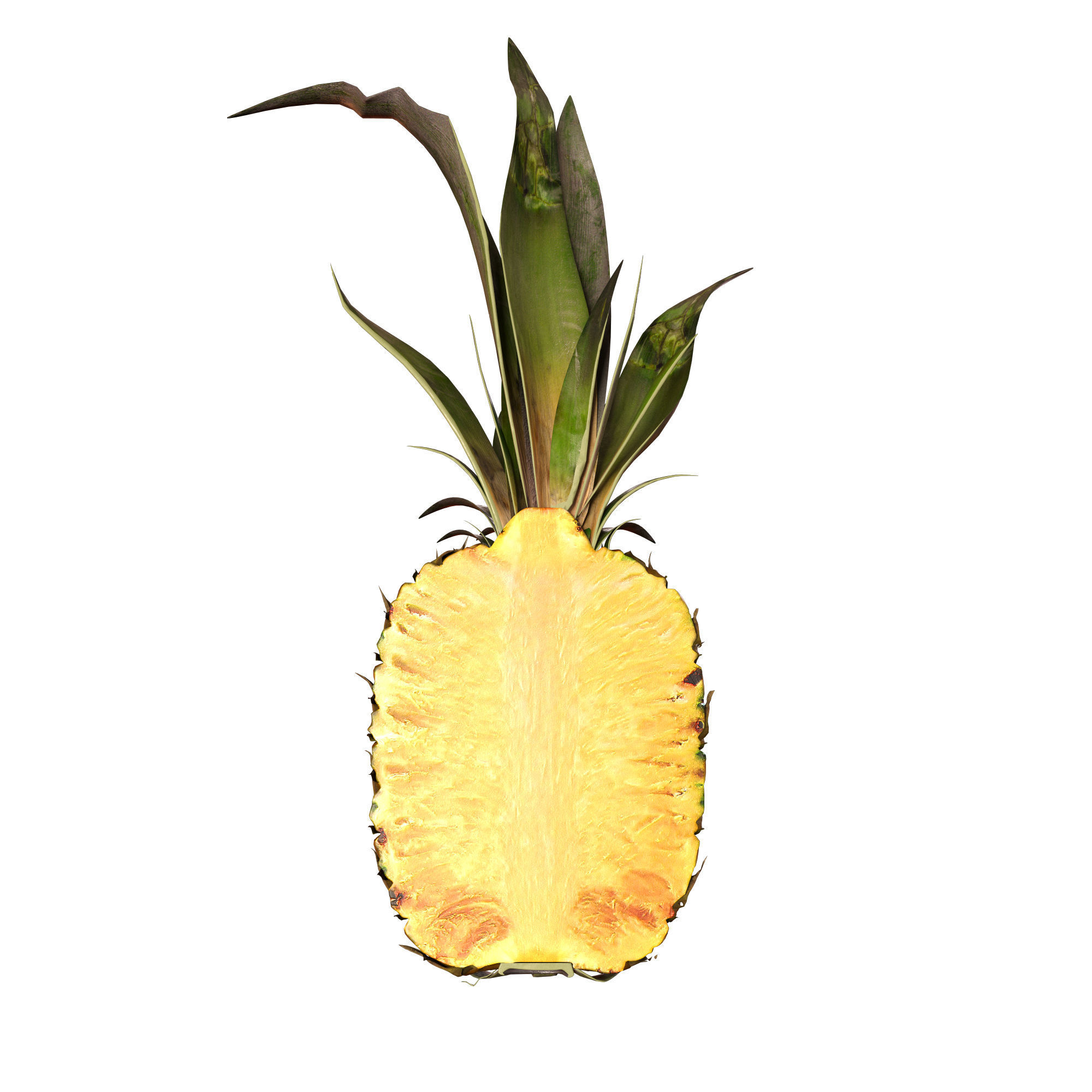 Pineapple 3D model_6