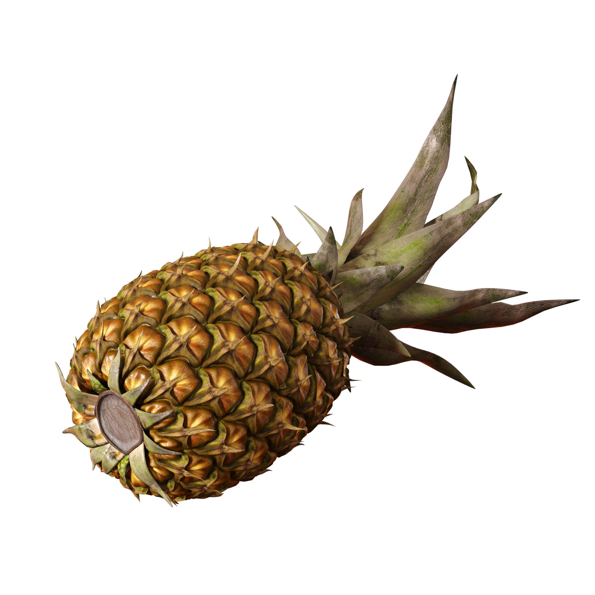 Pineapple 3D model_2