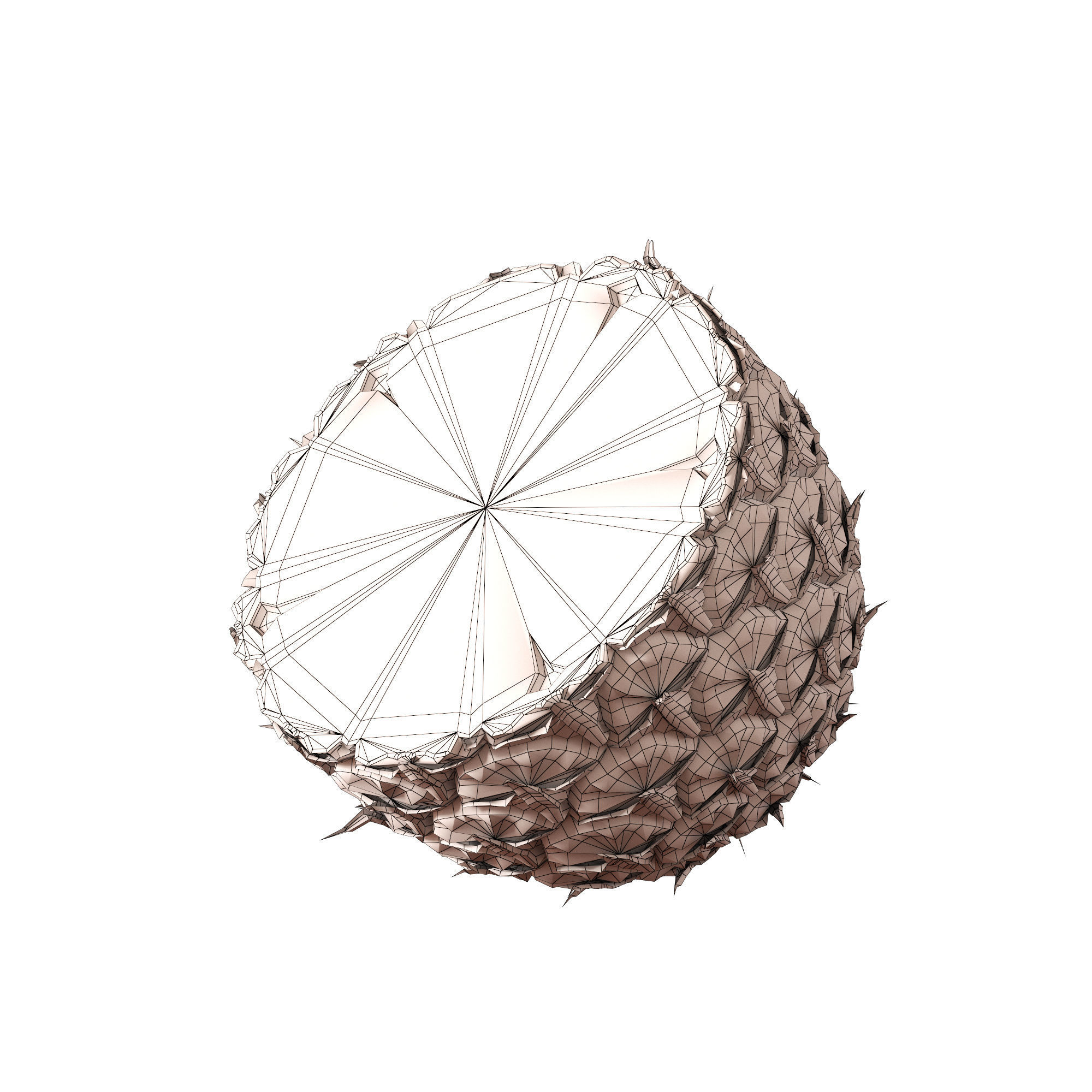 Pineapple 3D model_12