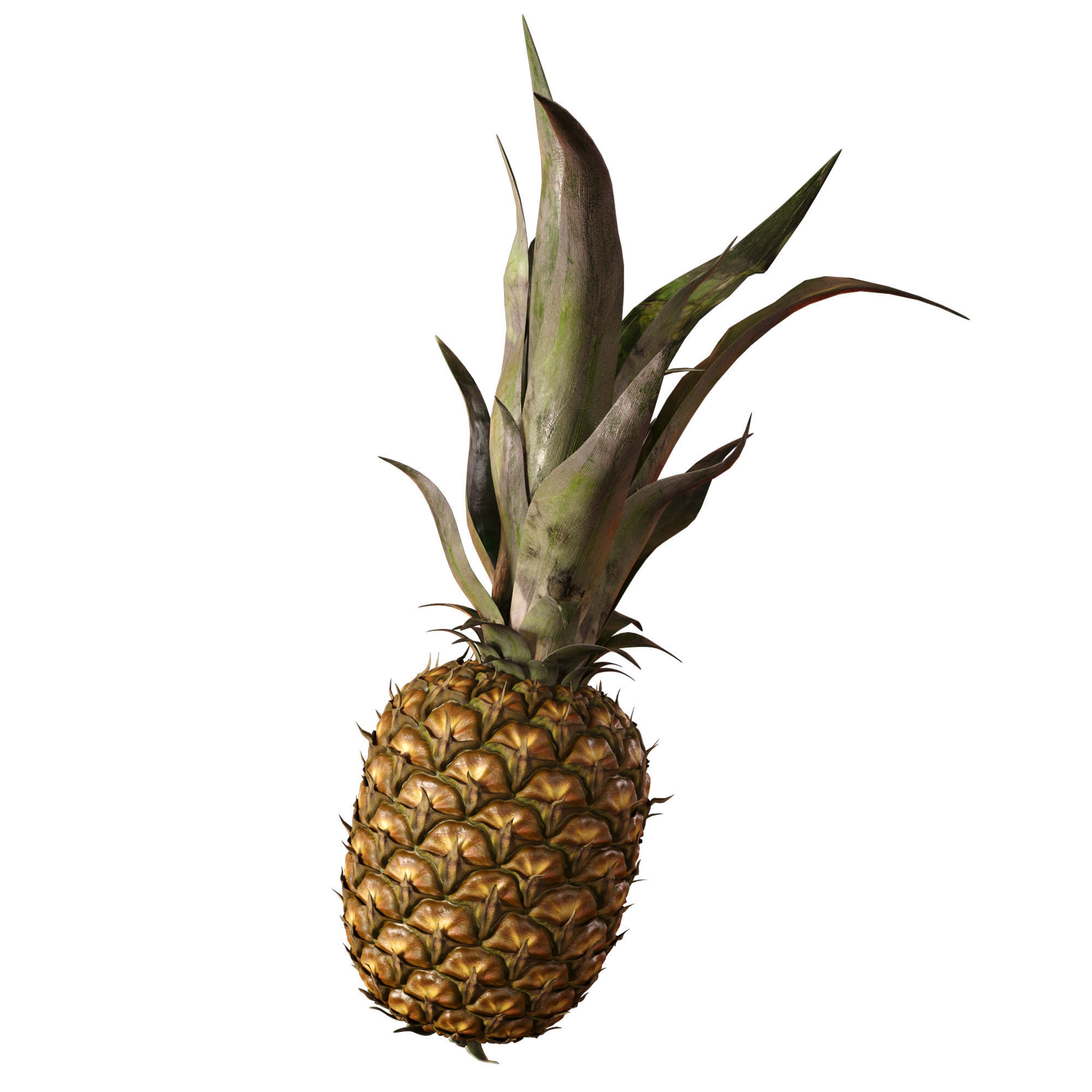 Pineapple 3D model_3