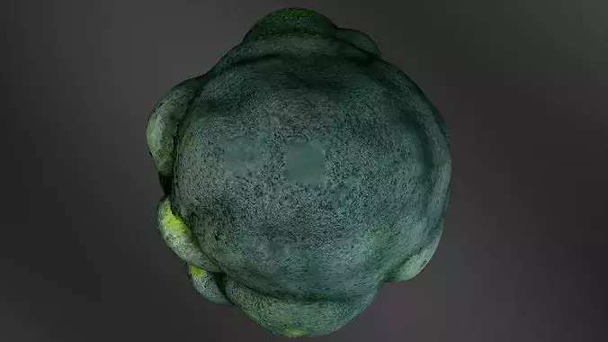 Broccoli 01 3D print model 6