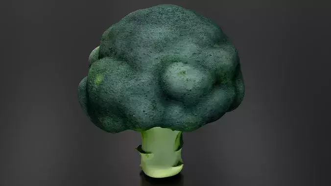 Broccoli 01 3D print model 3