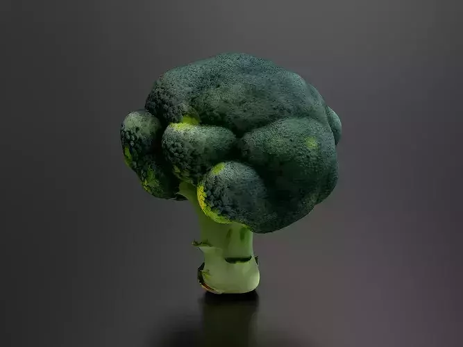 Broccoli 01 3D print model