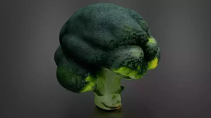 Broccoli 01 3D print model 5