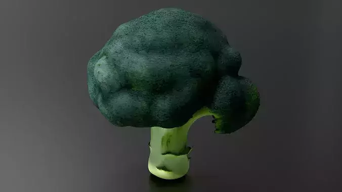 Broccoli 01 3D print model 4