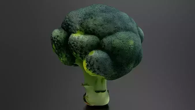 Broccoli 01 3D print model 2