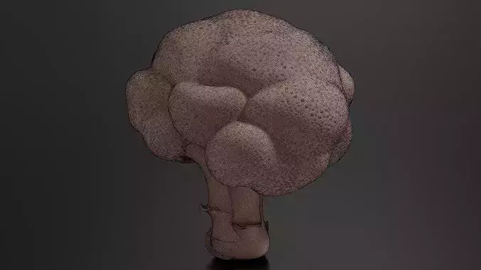 Broccoli 01 3D print model 7