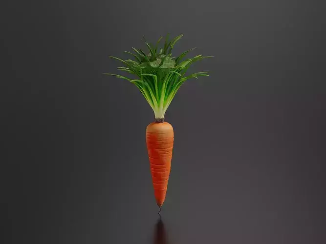 Carrot 01 3D print model
