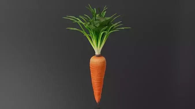 Carrot 01 3D print model 4
