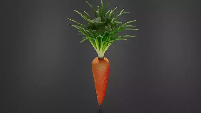Carrot 01 3D print model 5