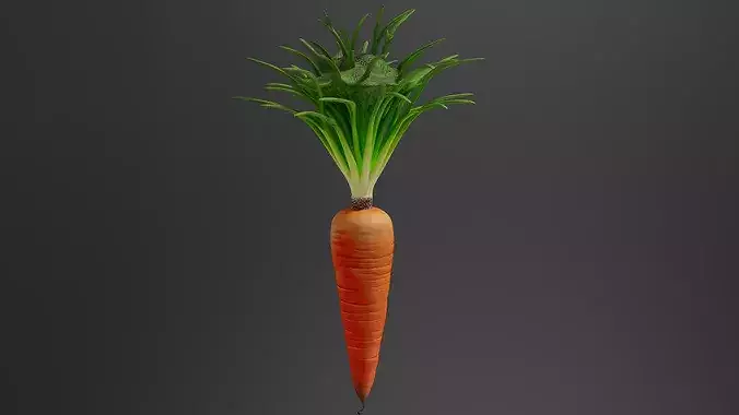 Carrot 01 3D print model 2