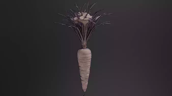 Carrot 01 3D print model 7