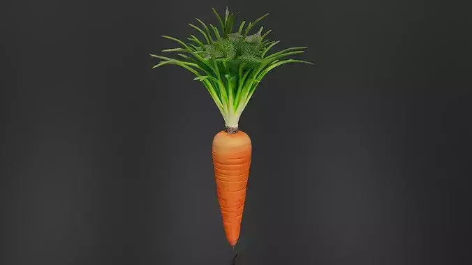 Carrot 01 3D print model 3